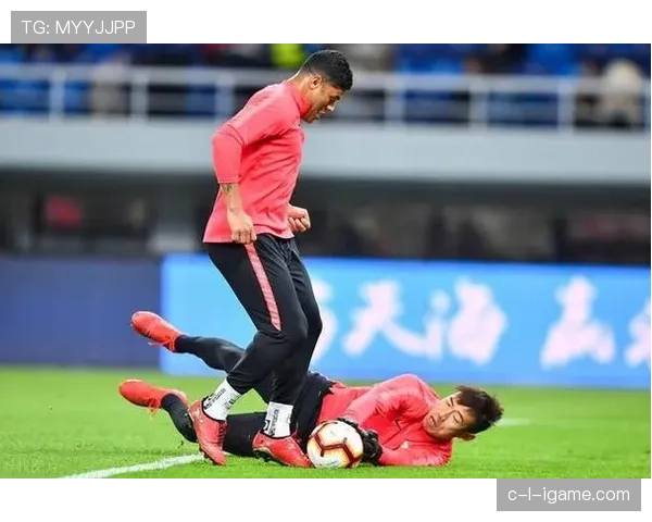 捷克球迷化身雄狮助威，球队士气回升团结迎战新挑战