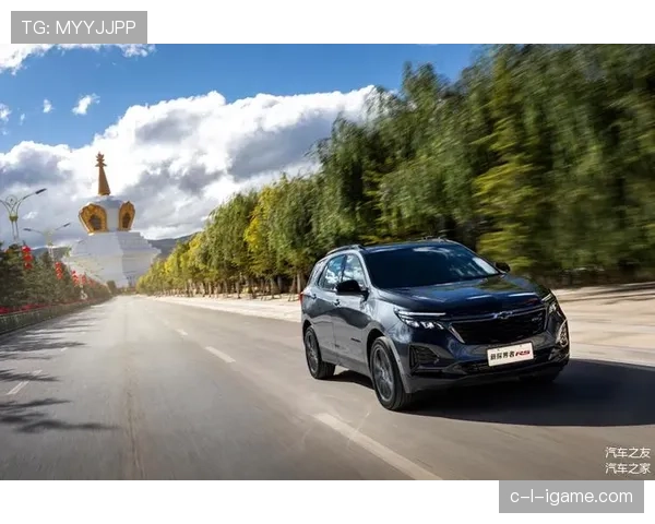 王励勤乖乖地练球，家里倒是铺了床养猫，不像赛场那个猛男样子